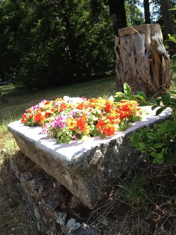 Grand Hotel Vallombrosa Saltino