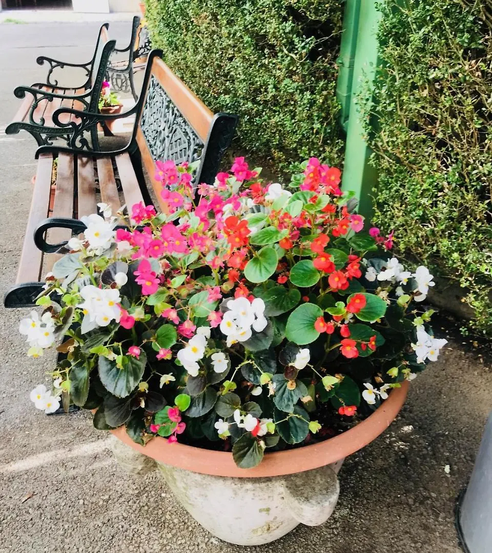 Grand Hotel Vallombrosa Saltino